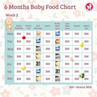 Food Chart For Baby After 6 Months