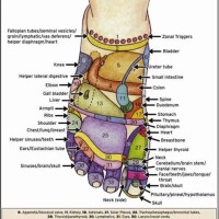 Foot Acupuncture Points Chart Top Of