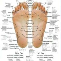 Foot Reflexology Chart For Essential Oils