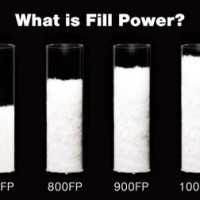 Forter Fill Power Chart