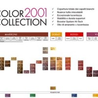 Framesi 2001 Glamour Color Chart