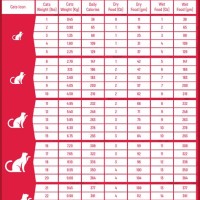 Friskies Dry Cat Food Feeding Chart