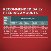 Fromm Canned Dog Food Feeding Chart