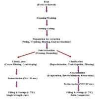 Fruit Juice Manufacturing Process Flow Chart