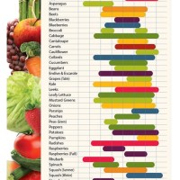 Fruits And Vegetables In Season By Month Chart