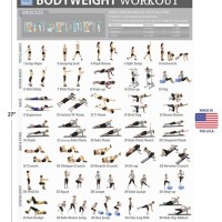 Full Body Workout Chart