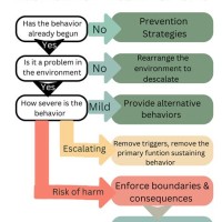 Functions Of Behavior Flow Chart