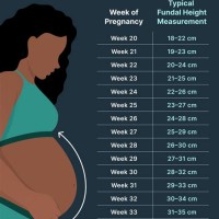 Fundal Height Chart Estimating Birth Weight