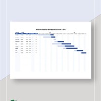 Gantt Chart For Clinic Management System
