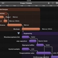 Gantt Chart Ipad