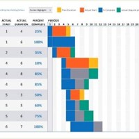 Gantt Chart Powerpoint 2010