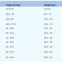 Garanimals Shoe Size Chart