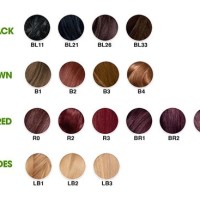 Garnier Hair Color Shades Chart With Numbers