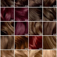 Garnier Hair Dye Color Chart