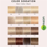 Garnier Hair Dye Colour Chart