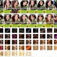 Garnier Nutrisse Blonde Hair Colour Chart