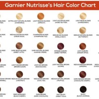 Garnier Nutrisse Hair Color Chart