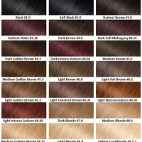 Garnier Semi Permanent Hair Colour Chart