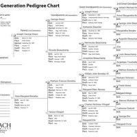 Genealogy Charts