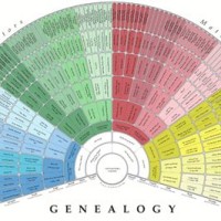 Genealogy Fan Chart Excel