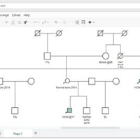 Genealogy Pedigree Chart Maker