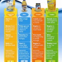 Gerber Baby Solid Food Chart