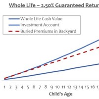 Gerber Life Grow Up Plan Cash Value Chart