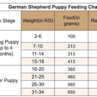 German Shepherd Raw Feeding Chart