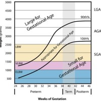 Gestational Age Growth Chart Calculator