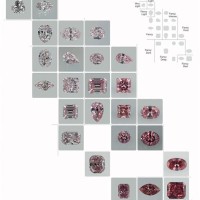 Gia Diamond Fancy Color Grading Chart