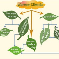 Global Warming Flow Chart