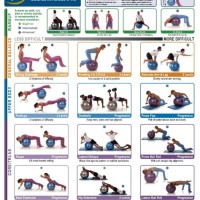 Gold S Gym Body Ball Exercise Chart