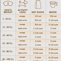 Golden Retriever Feeding Chart