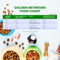 Golden Retriever Puppy Food Chart