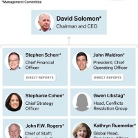 Goldman Sachs Anizational Structure Chart