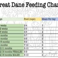 Great Dane Eating Chart