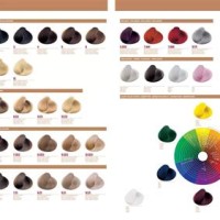 Green Light Luxury Hair Color Chart