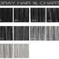 Grey Hair Dye Colour Chart