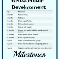 Gross Motor Development Milestones Chart