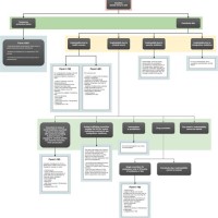 Grounds Of Inadmissibility Chart U Visa