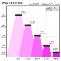 Grow Light Lumens Chart