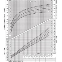 Growth Chart Female 0 36 Months Singapore 2023