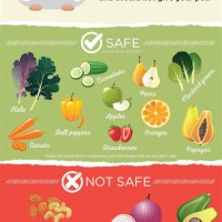 Guinea Pig Feed Chart