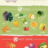 Guinea Pig Nutrition Chart