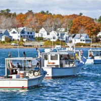 Gulf Of Maine Fishing Charters