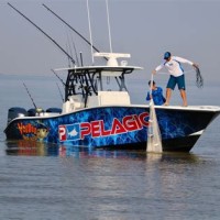 Gulf Of Mexico Fishing Charters Louisiana