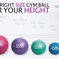 Gym Ball Size Chart