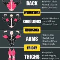 Gym Exercise Chart Day Wise With Pictures