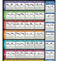 Gym Workout Chart Day By With Images