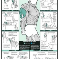 Gym Workout Chart For Men